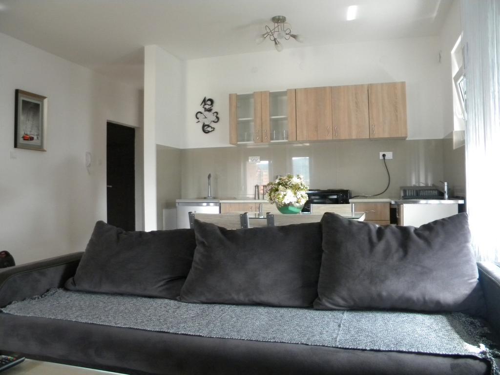Apartment Srebrni Oblak Arandjelovac Luaran gambar